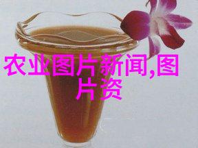 院中三无的秘密花园
