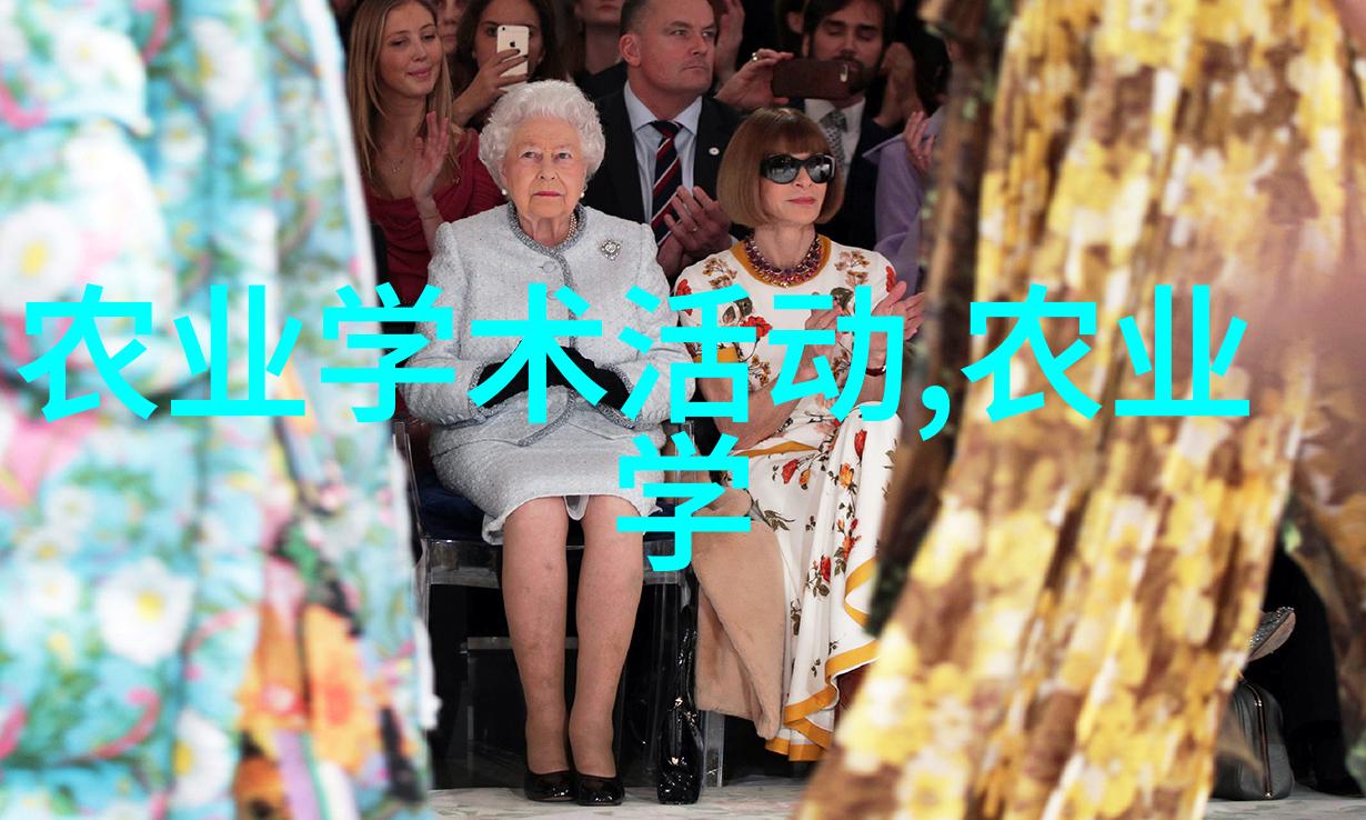 10公分美国红枫树价格品质与魅力的双重奏鸣