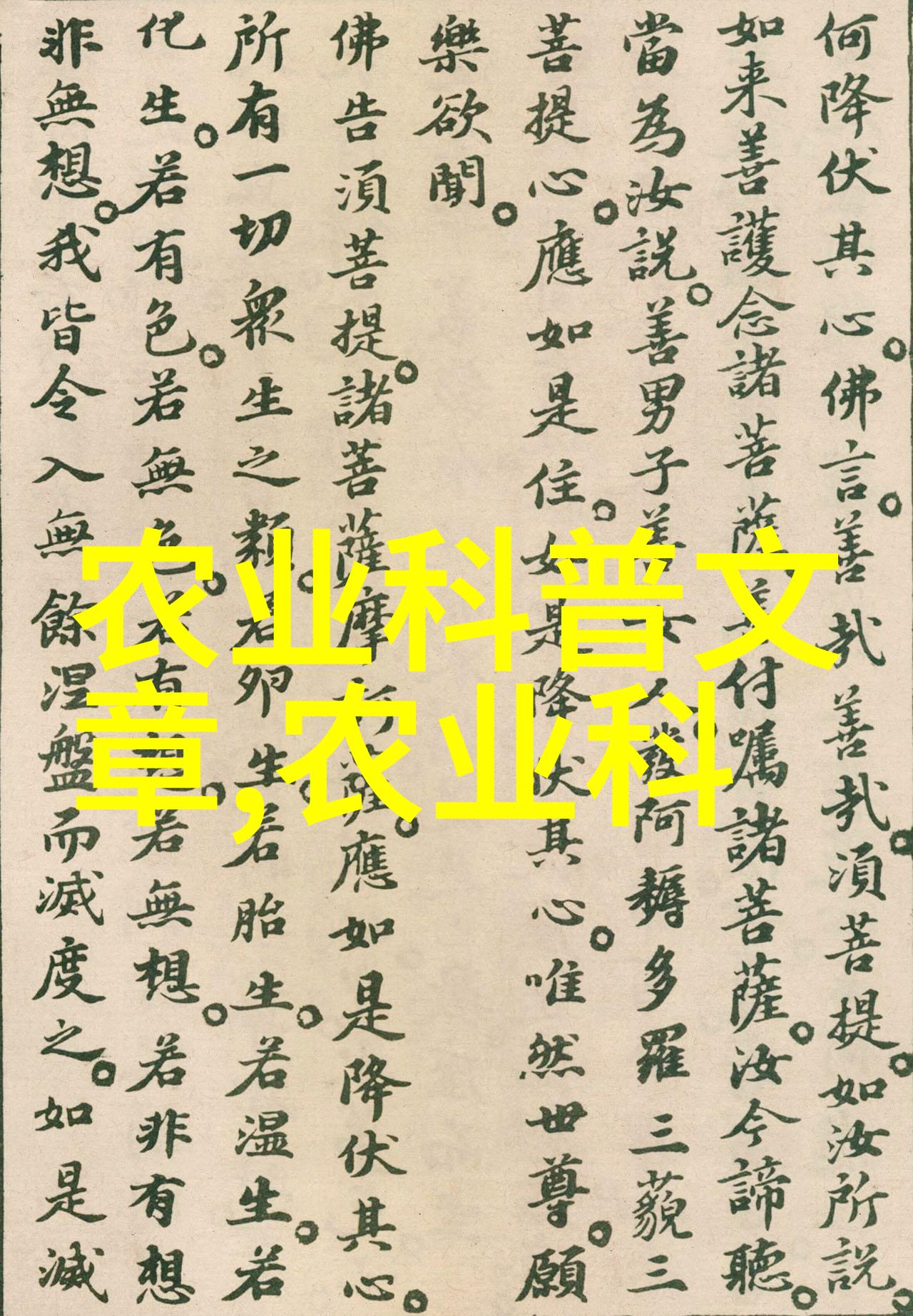 花海里的秘密探索鲜艳的玫瑰与迷人的紫罗兰