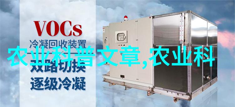 可以触碰你的深处吗第一季探寻心灵的边界我是如何学会勇敢地面对自己的