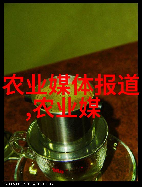 桑黄种植投资分析一亩田的成本与回报预测