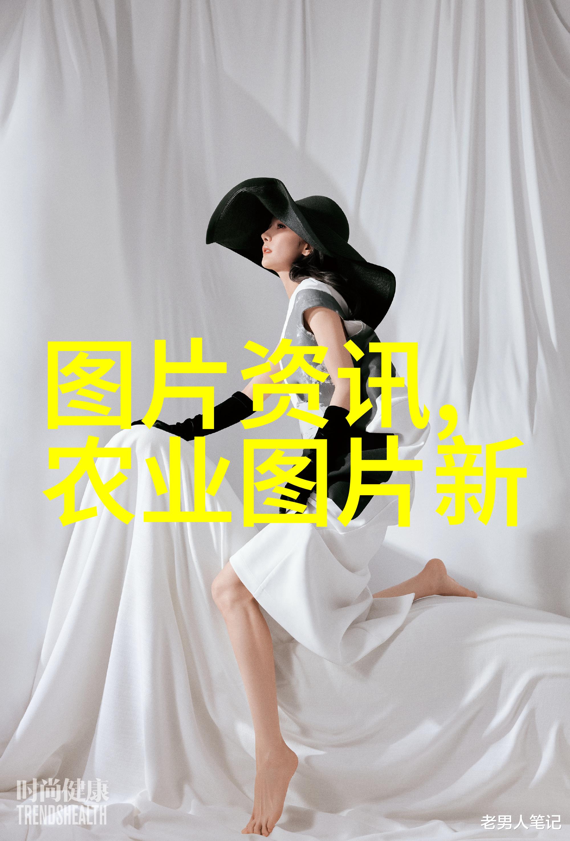 茶香悠扬的健康之旅揭秘喝茶叶带来的好处