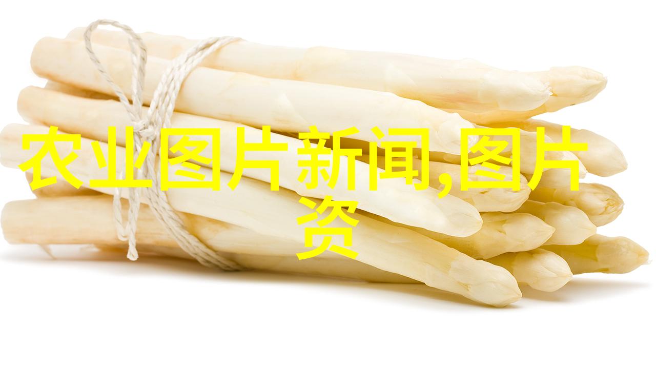 中国兽药信息网-探索中国兽药信息网守护动物健康的知识宝库