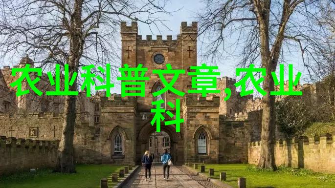 疯狂七十二小时打扑克造小孩我是如何在一场疯狂的游戏中诞生下我的孩子的