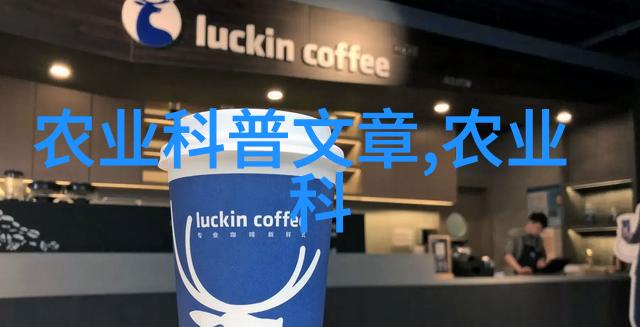 XL时代的视频盛宴探索优酷新篇章