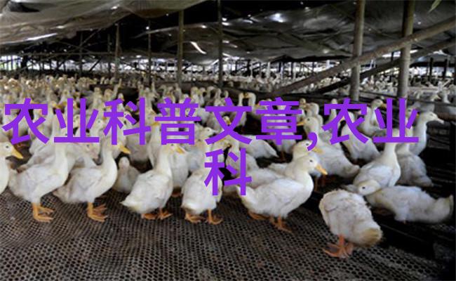 药材养殖项目哪种最好 - 选择最佳药材养殖深度解析各类植物的适宜性与市场前景
