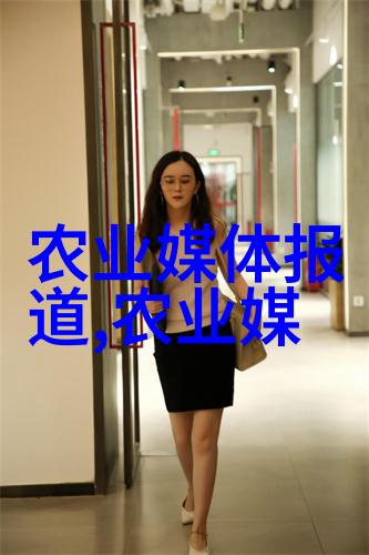 三人同行一段友谊的旅程