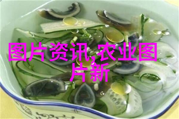走进红麻产业一亩种植的财富之路