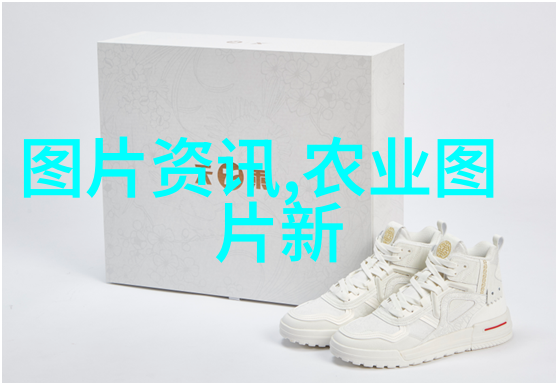 山东十大花卉批发基地我来告诉你哪些地方的花更有保障