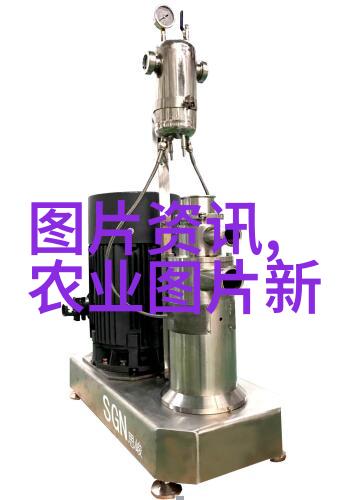 文竹栽培指南技巧与细节