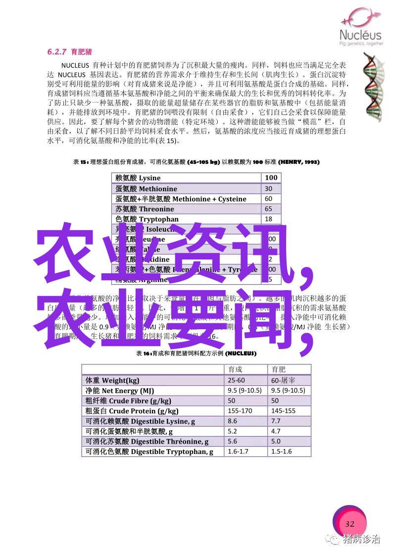 绿色宝库大棚蔬菜的种植与营销策略