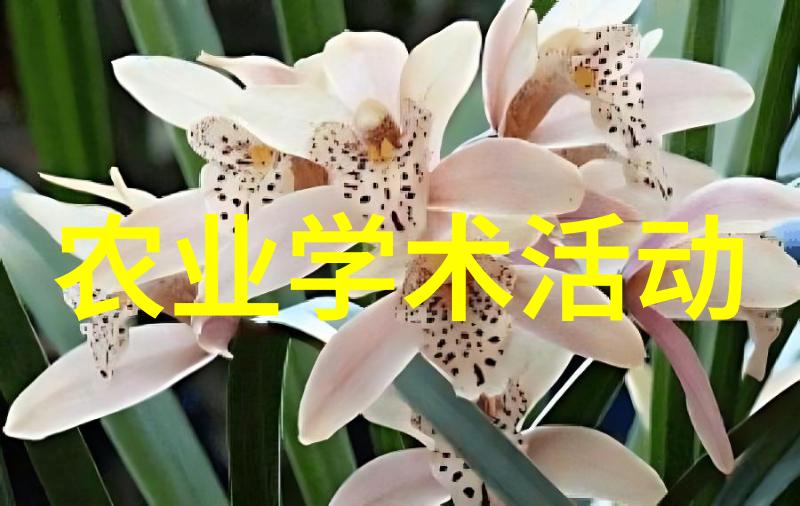 学术农业交流活动方案_学术农业交流发言稿_农业学术交流