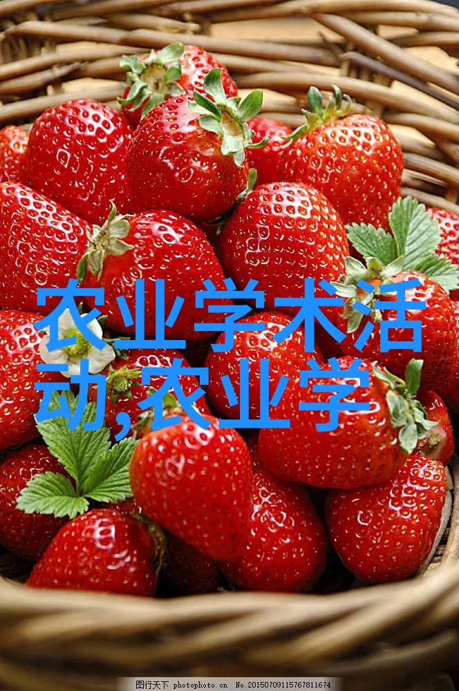 农民日报深度报道揭开农村发展的真实面纱