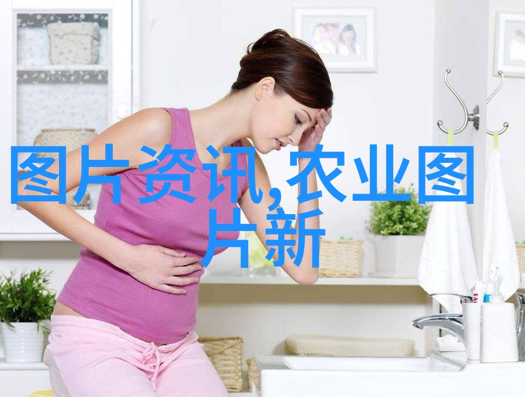 37格蜂箱的秘密花园