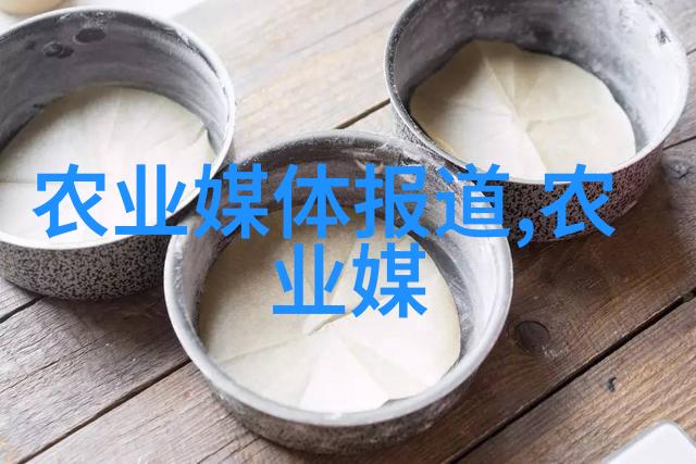 法律法规中如何定义和区分法律法规以及规定