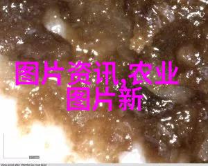 农业的未来科技与可持续发展的结合