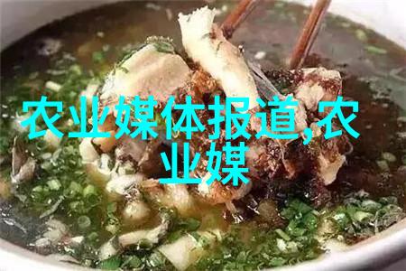 蔬菜种植大师从土豆到菠菜一步步教你变成农业笑星