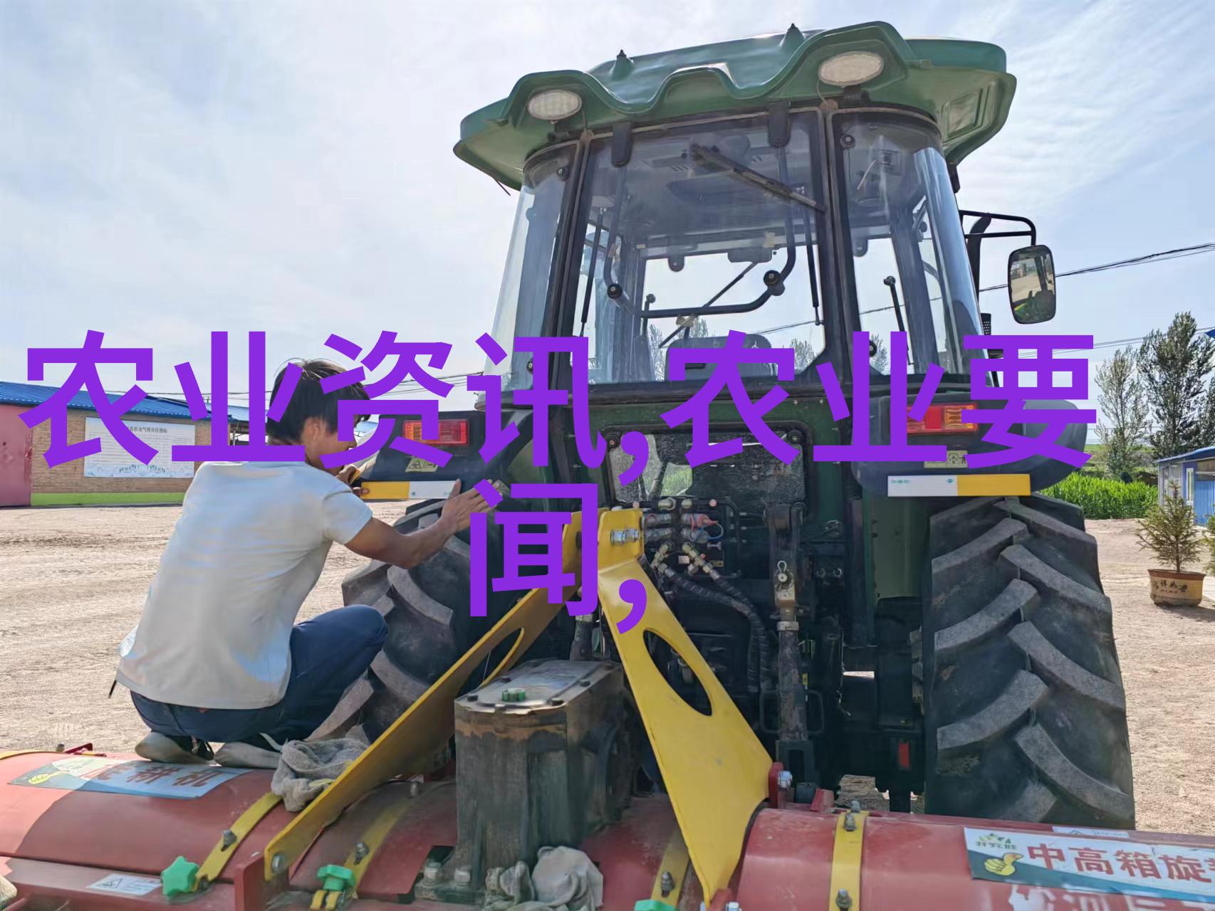 粮油作物百科-谷物与植物油的秘密探索粮油作物的世界