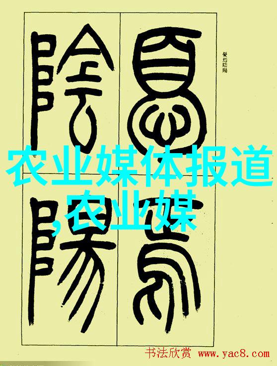 木工机械的精髓剖析现代木工行业中不可或缺的设备与技术