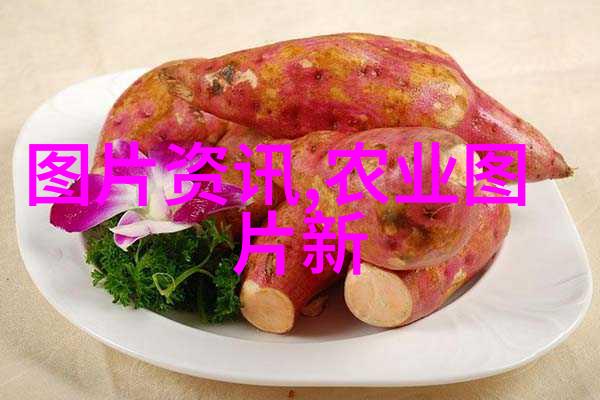 黄骨鱼帆布鱼池梦想
