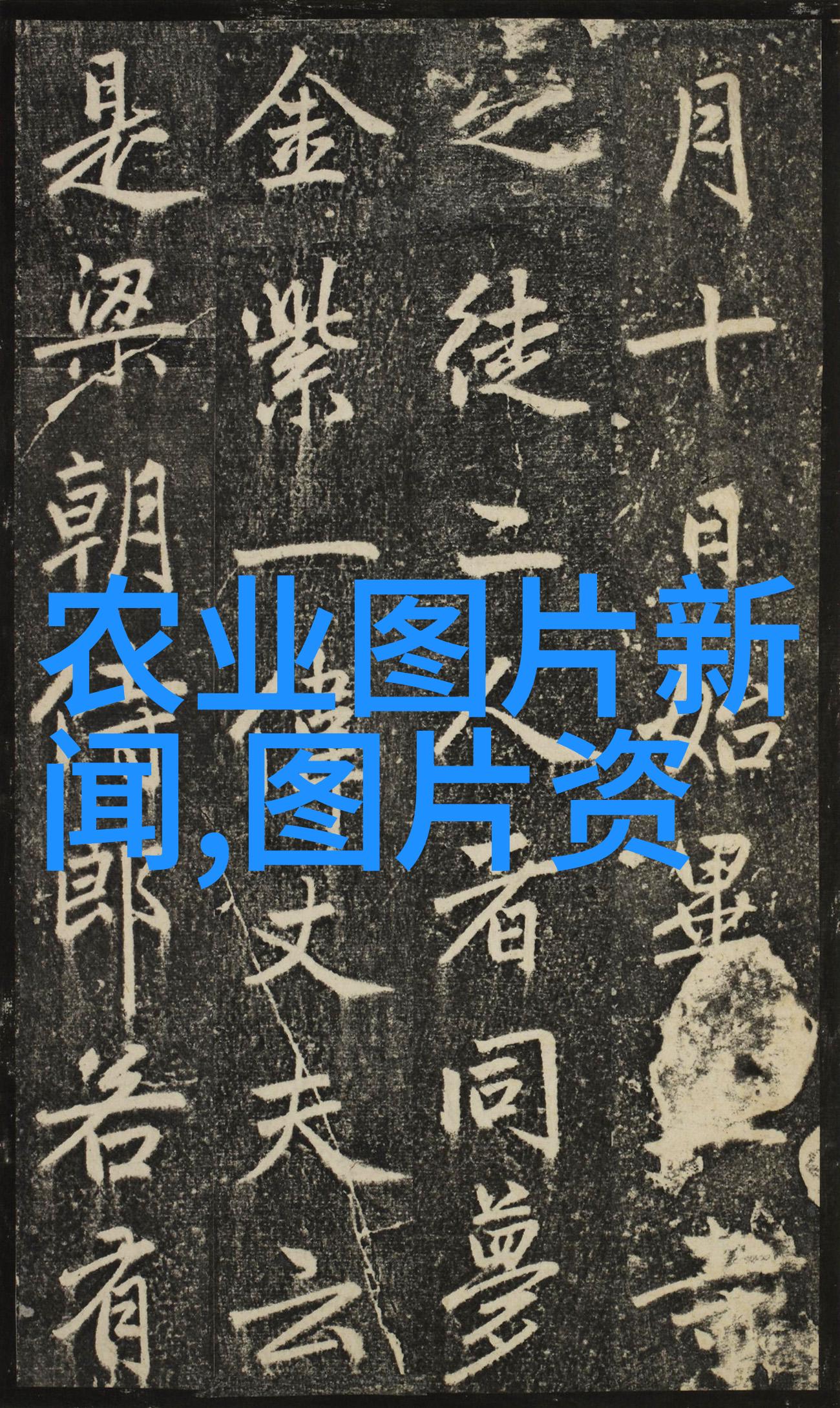 如何挑选那些既美观又能够积累财富的室内植物