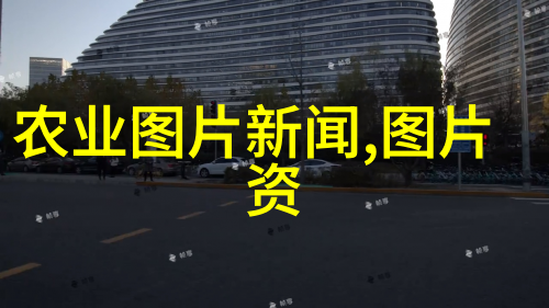 精准养蜂技巧如何高效地提高蜜蜂健康与产量