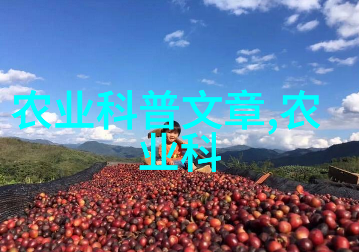 农资进销存台账管理系统精细化运营助力农业供给侧改革
