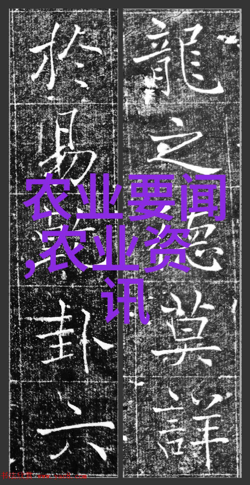 冠农新闻推广农业综合服务 带动农民增收致富