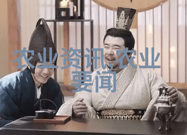搞种植做什么最挣钱 - 高效果蔬种植技巧与市场分析