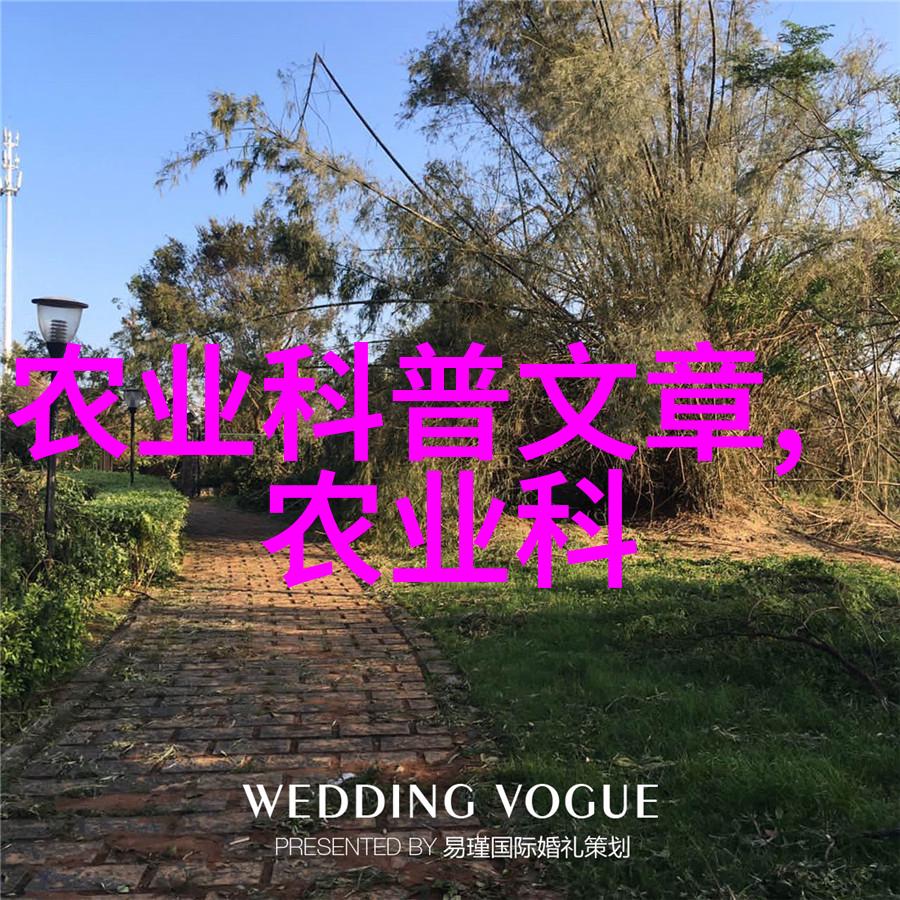 中药材种苗繁育技术传统中医药中的珍贵植物种子培育