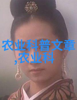傻子也能学艺从傻呼呼开始的自我提升之旅