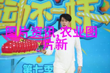 水稻所稻鸭共育技术显成效
