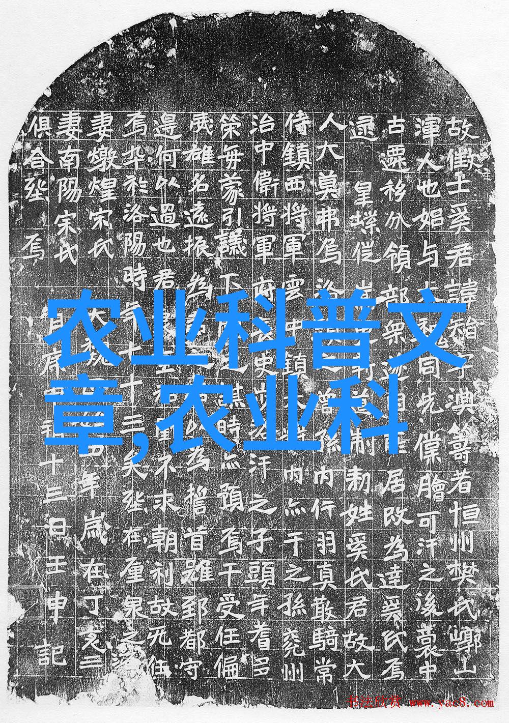 简易DIY无土水培法让你的桌面变成小农场