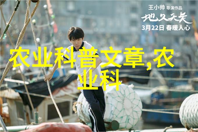 专业人力资源公司服务简介高效解决我要招聘问题
