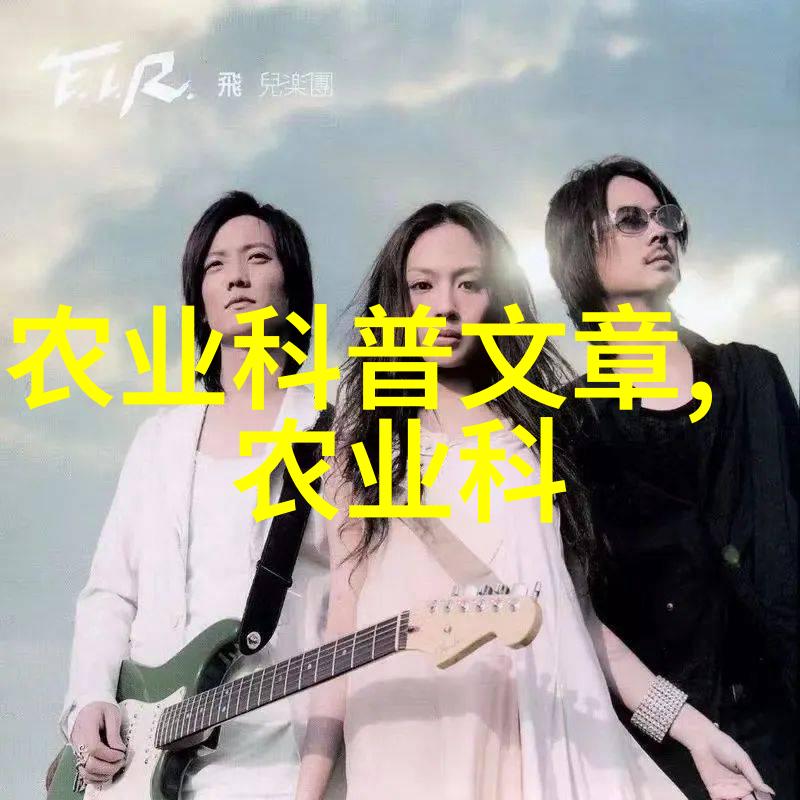 鸡蛋高品质农村养殖的畅销蛋类