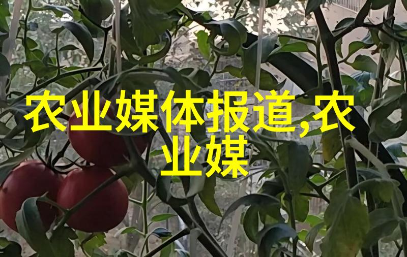 绿色生活无公害产品的选择与实践