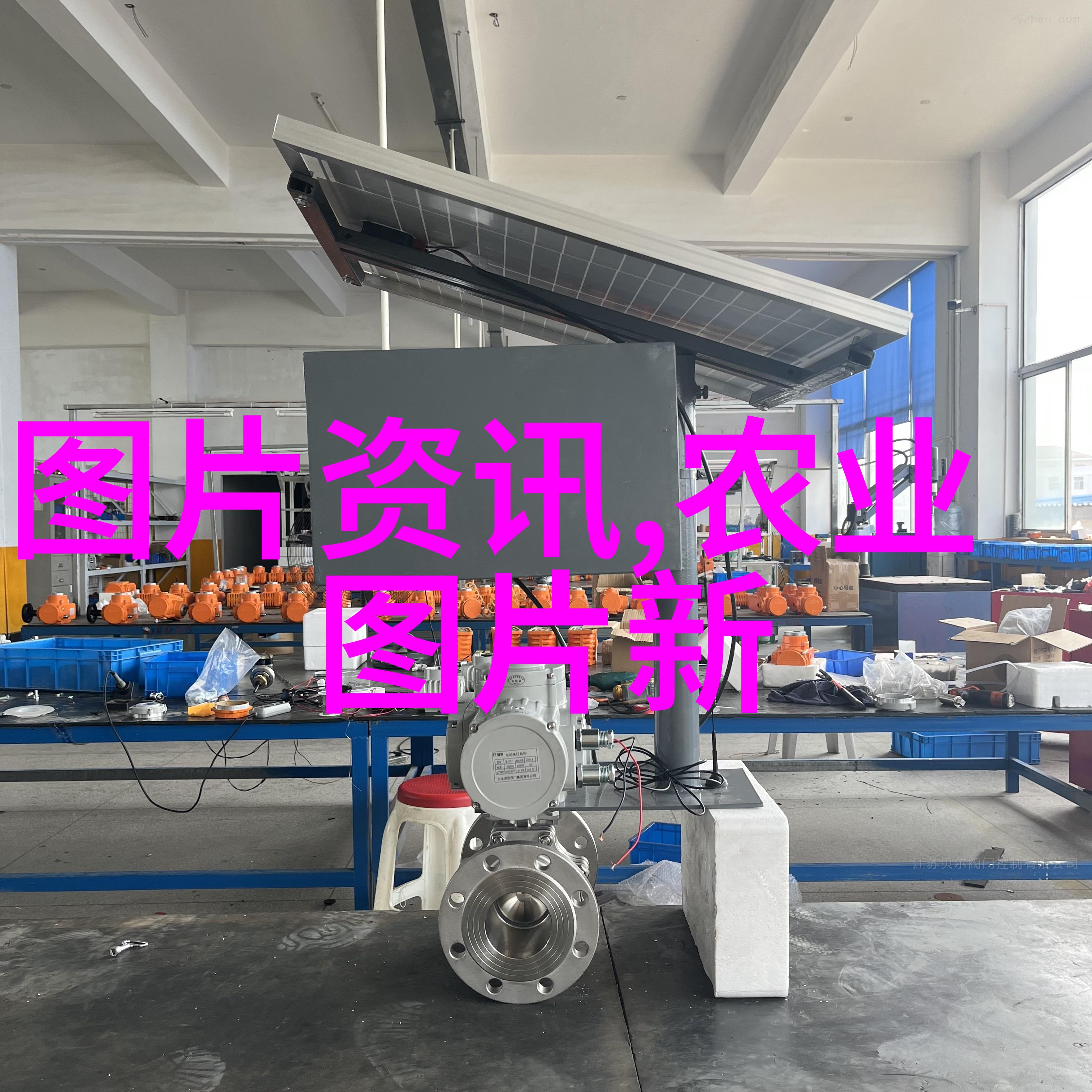 追求完美形态探究创作高级别专业级别的盆栽花卉造型大全大图片画法技巧