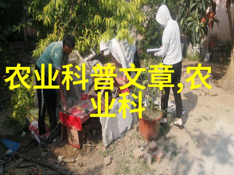 家庭禁忌中的花卉避免引入的秘密
