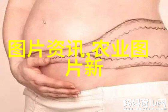 大数据时代的就业机遇探索行业发展趋势与职业路径