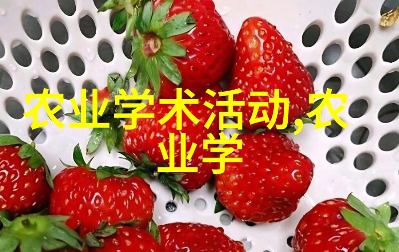地理信息系统在农业中的应用 精准扶贫与资源优化利用