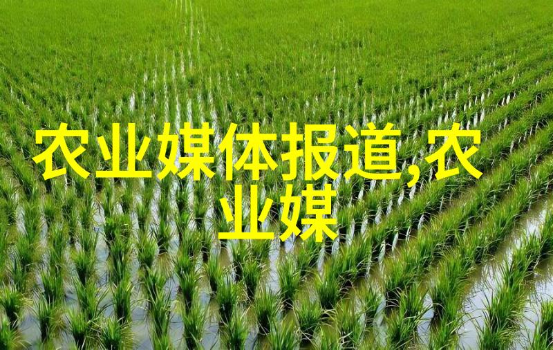金钱龟的秘密花园精准养殖技巧与智慧