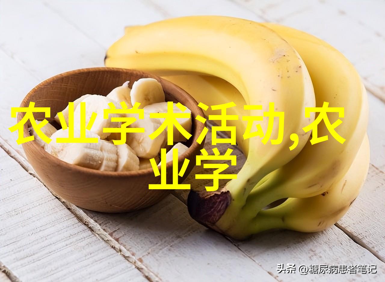 易于种植的果树适合新手种植的多种水果树类