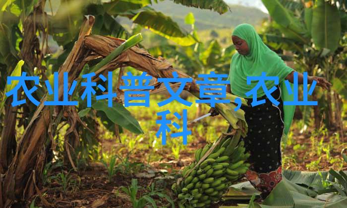 招募C1驾驶员300元一天高薪招聘C1级别司机