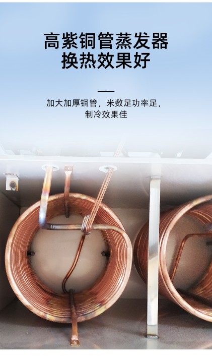 水果与种子的视觉档案一项综合性的图片汇编