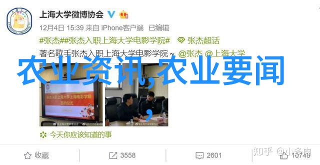车后车座的疯狂的做的视频我是如何在无人监督的情况下把自己的车后座变成一个充满创意和趣味的地方