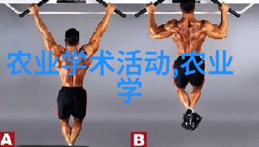 春色满园花卉市场批发的繁荣与魅力