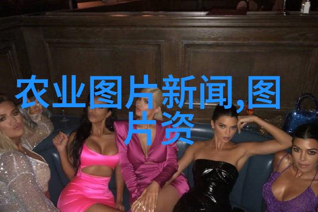 通过分析各种语言使用场景我们能否发现任讟对语言表达方式的影响