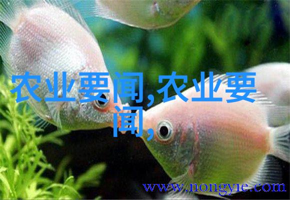 探索法律基础理论与实务结合的秘诀考前热身训练营