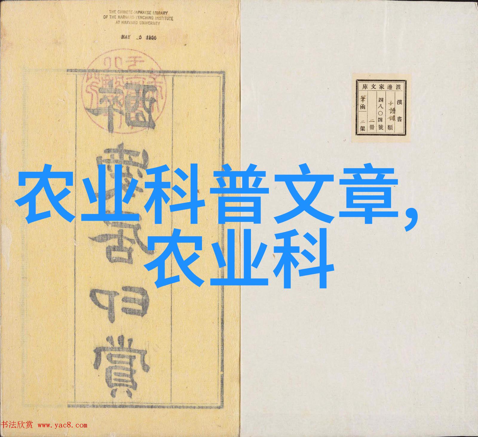 适合懒人种植果树有哪些我来告诉你这几个省心的选择