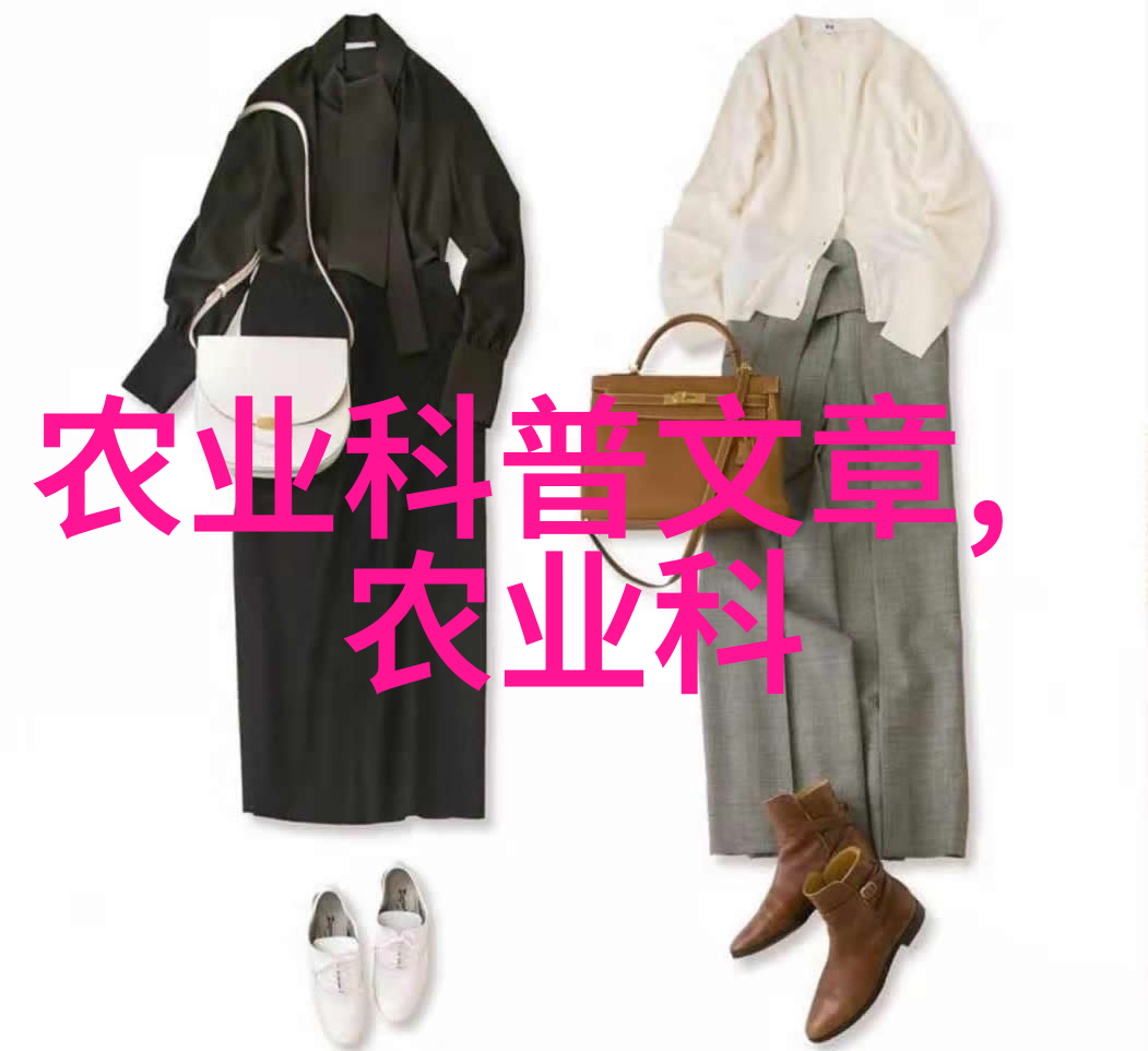 养蜂生活感悟-蜂舞中的智慧与和谐